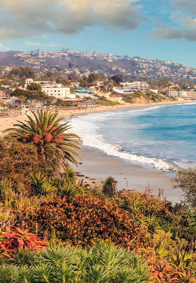 Orange County market card