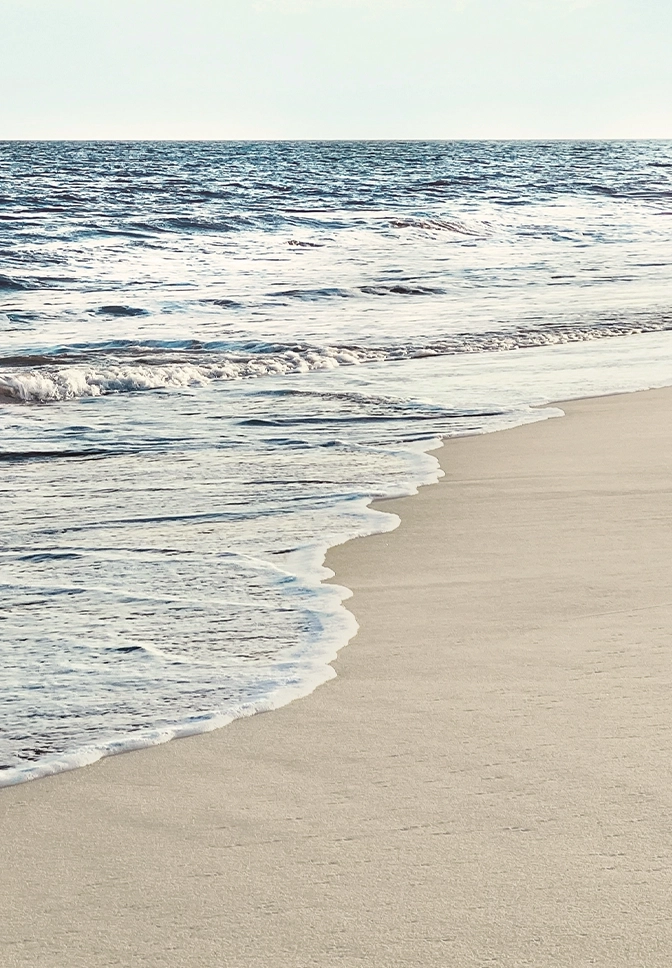 Hamptons market card